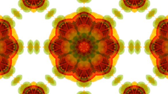 historic market in Florence LIGHT FESTIVAL 2012_1