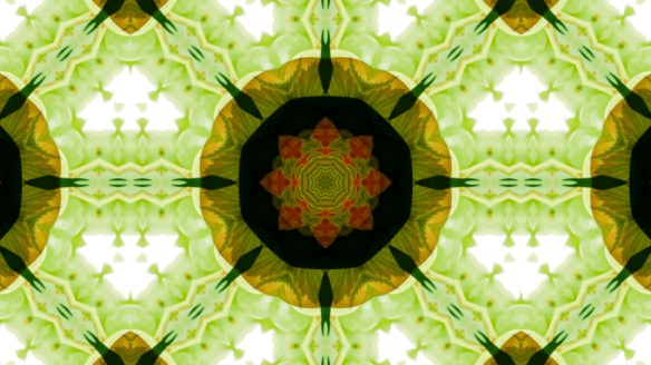 historic market in Florence LIGHT FESTIVAL 2012_6