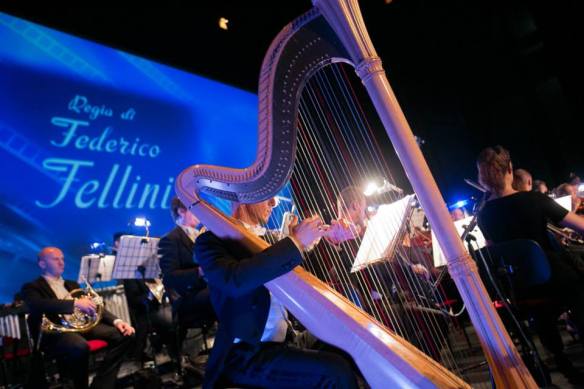 1185689_625849090770298_1093200642_n