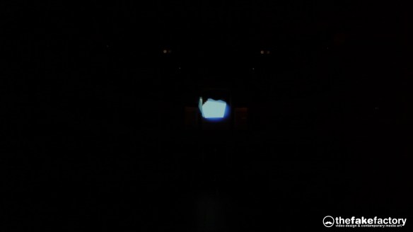 ETHNO-MORPHIC 3D VIDEOMAPPING FIRENZE4EVER TEATRO LA PERGOLA FIRENZE_26086