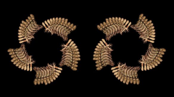 THE FAKE FACTORY KALI-MA 114