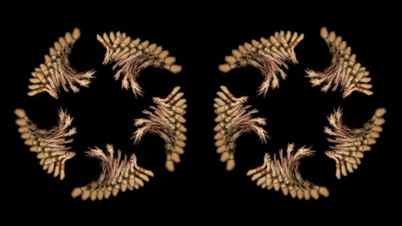 THE FAKE FACTORY KALI-MA 177