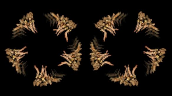 THE FAKE FACTORY KALI-MA 188