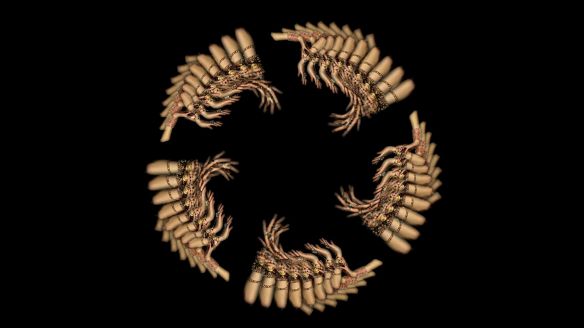 THE FAKE FACTORY KALI-MA 443