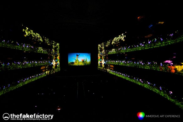 IMMERSIVE ART EXPERIENCE FAKE FACTORY_00038