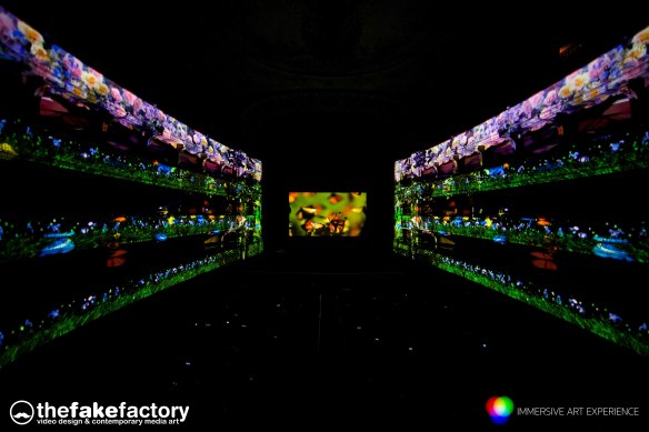 IMMERSIVE ART EXPERIENCE FAKE FACTORY_00044