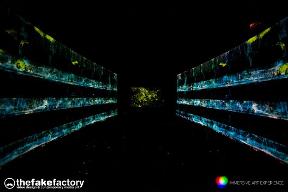 IMMERSIVE ART EXPERIENCE FAKE FACTORY_00054