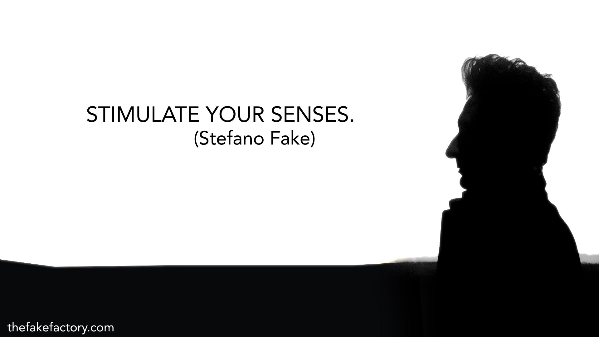 STEFANO FAKE THE FAKE FACTORY philosophy_00004